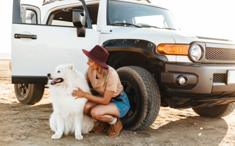 The Top Cars for Dog Owners 
